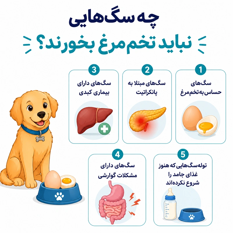 چه سگ هایی نباید تخم مرغ بخورند
