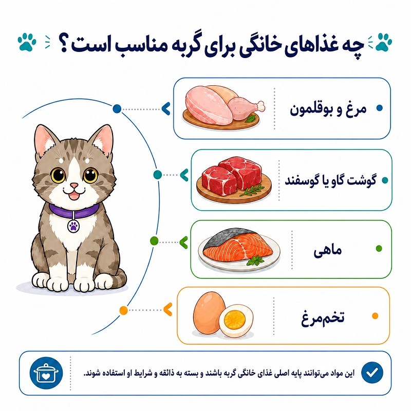 چه غذاهای خانگی برای گربه مناسب هستند