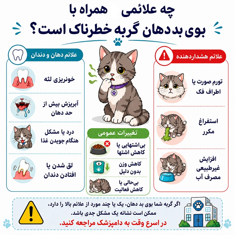 چه علائمی همراه با بوی بد دهان گربه خطرناک هستند؟