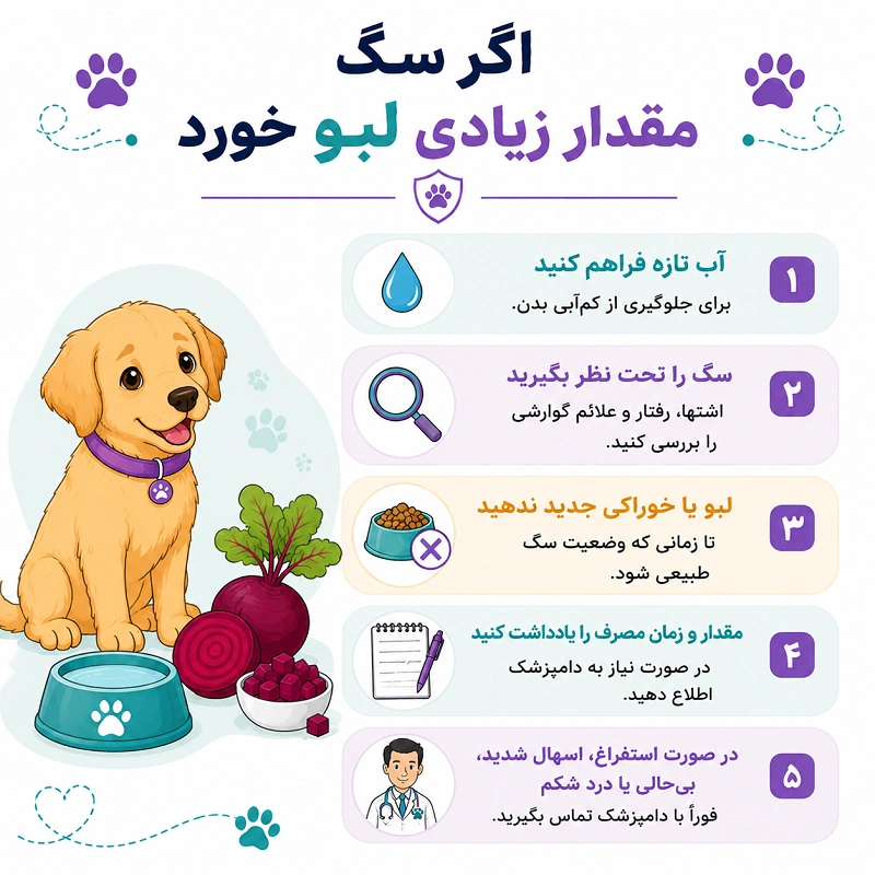 اگر سگ مقدار زیادی لبو خورد چه باید کرد؟