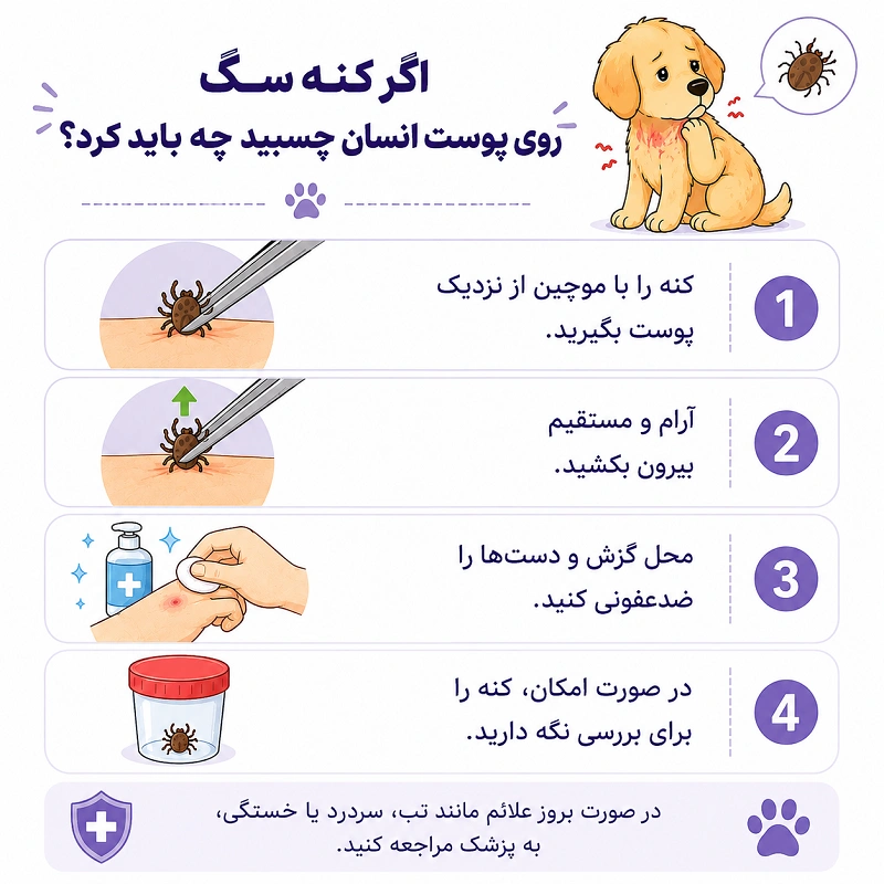 اگر نه سگ روی پوست انسان چسبید چه باید کرد؟