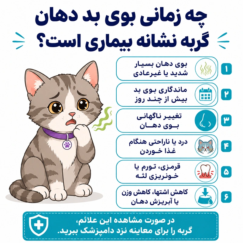 چه زمانی بوی بد دهان گربه نشانه بیماری است