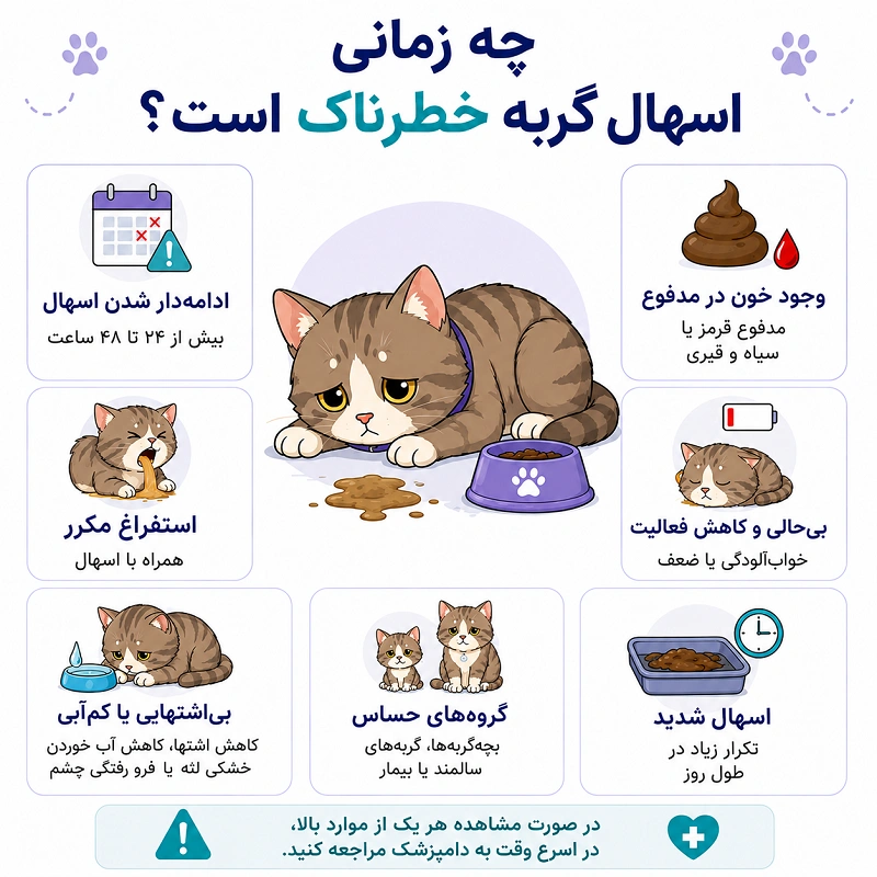 چه زمانی اسهال گربه خطرناک است