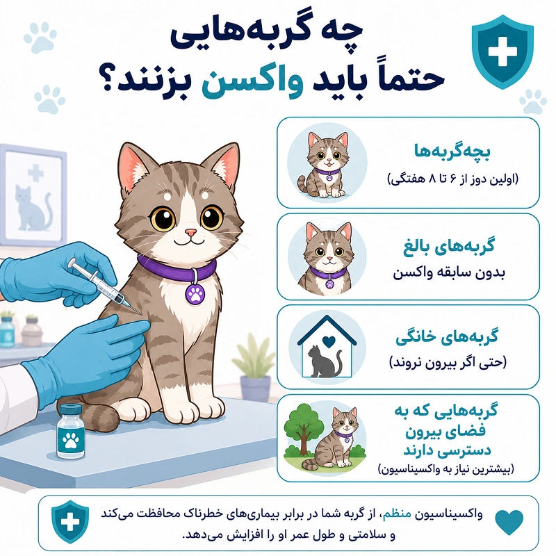 کدام گربهها باید واکسن سه گانه دریافت کنند؟